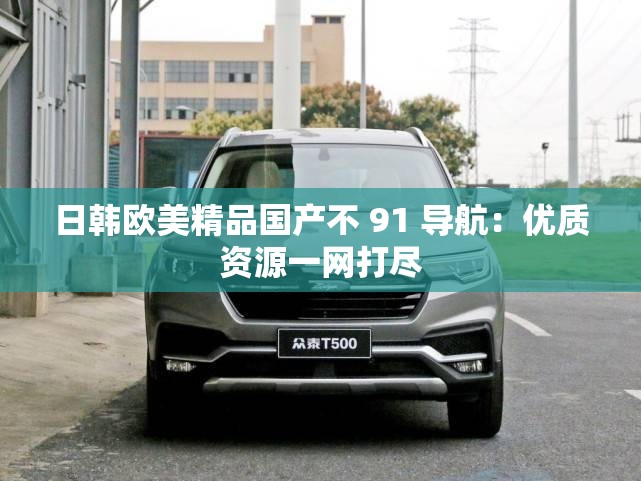 日韩欧美精品国产不 91 导航：优质资源一网打尽