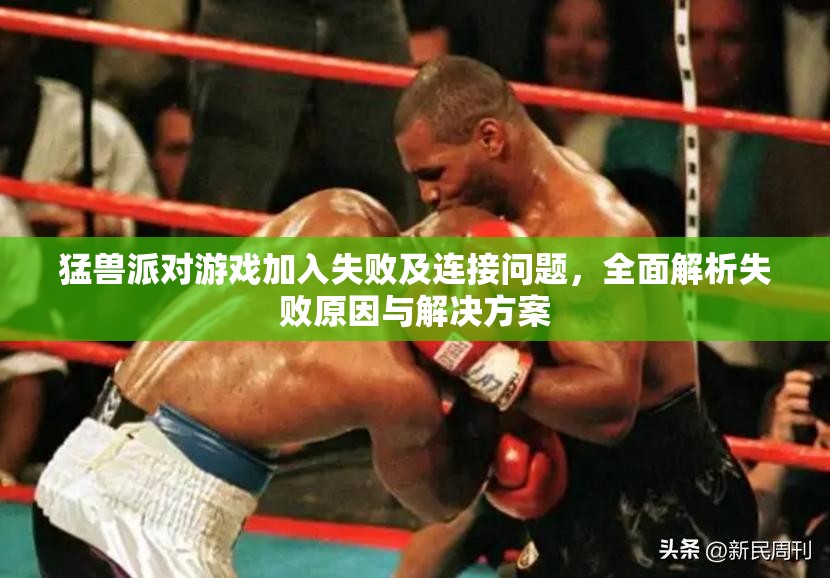 猛兽派对游戏加入失败及连接问题，全面解析失败原因与解决方案