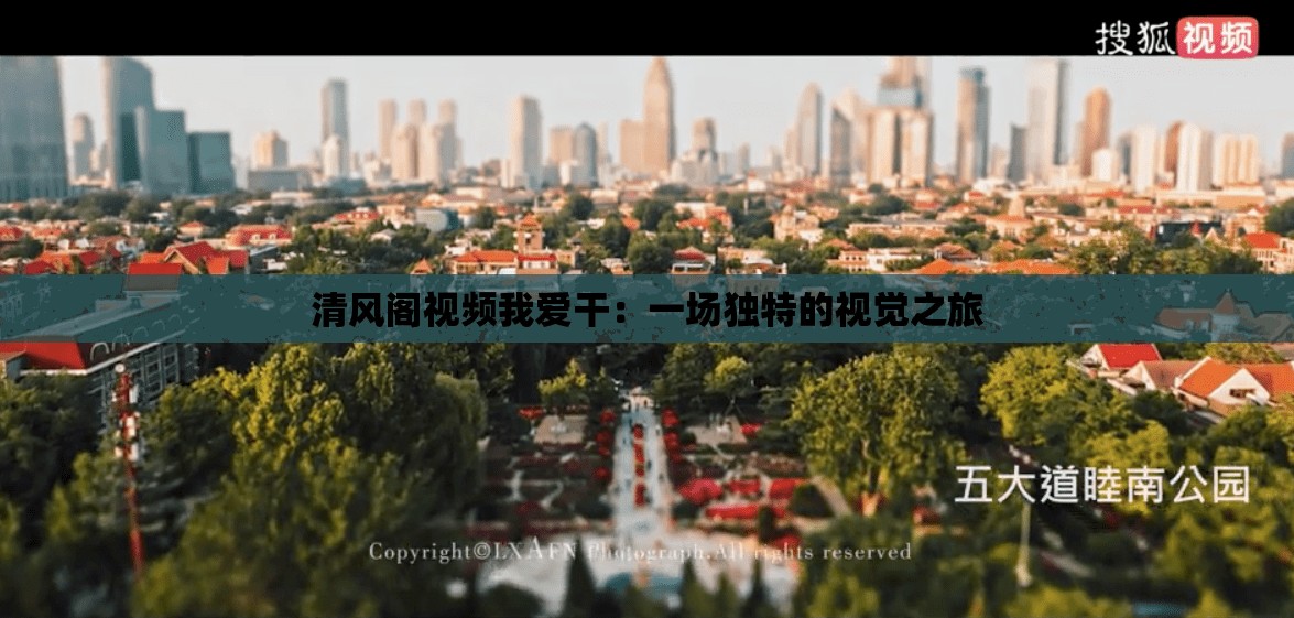 清风阁视频我爱干：一场独特的视觉之旅