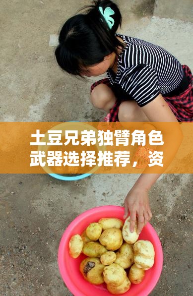 土豆兄弟独臂角色武器选择推荐，资源管理视角下的重要性及实战策略
