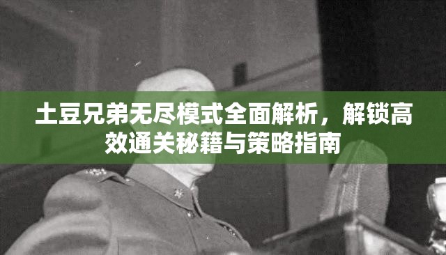 土豆兄弟无尽模式全面解析，解锁高效通关秘籍与策略指南