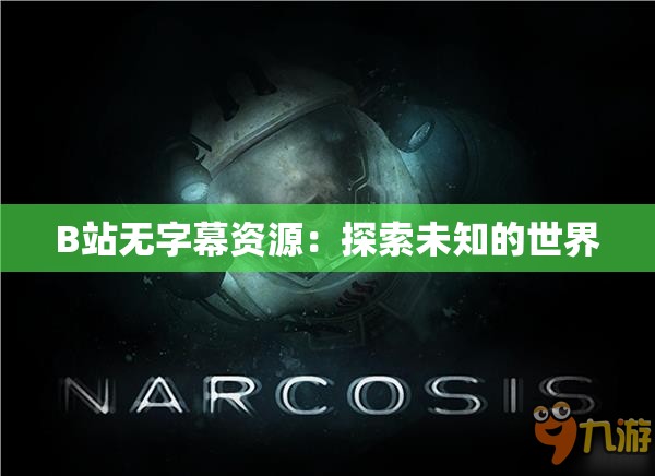 B站无字幕资源：探索未知的世界