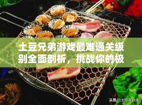 土豆兄弟游戏最难通关级别全面剖析，挑战你的极限，助你征服不可能的任务！