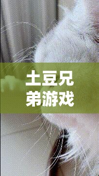 土豆兄弟游戏攻略，解锁并驾驭最强角色，揭秘称霸游戏世界的独家秘籍