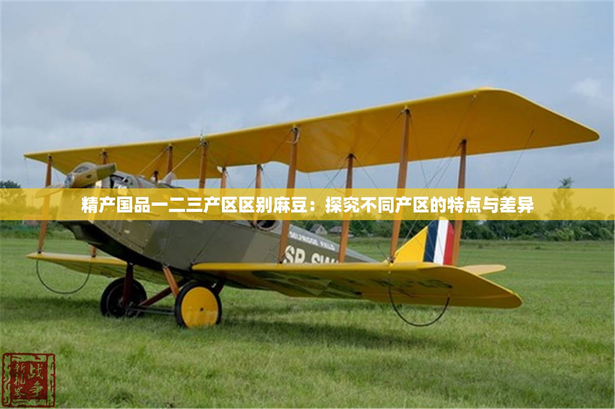 精产国品一二三产区区别麻豆：探究不同产区的特点与差异