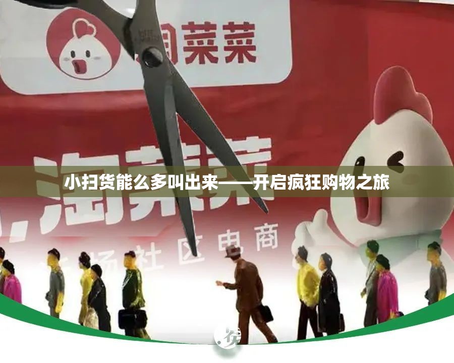 小扫货能么多叫出来——开启疯狂购物之旅