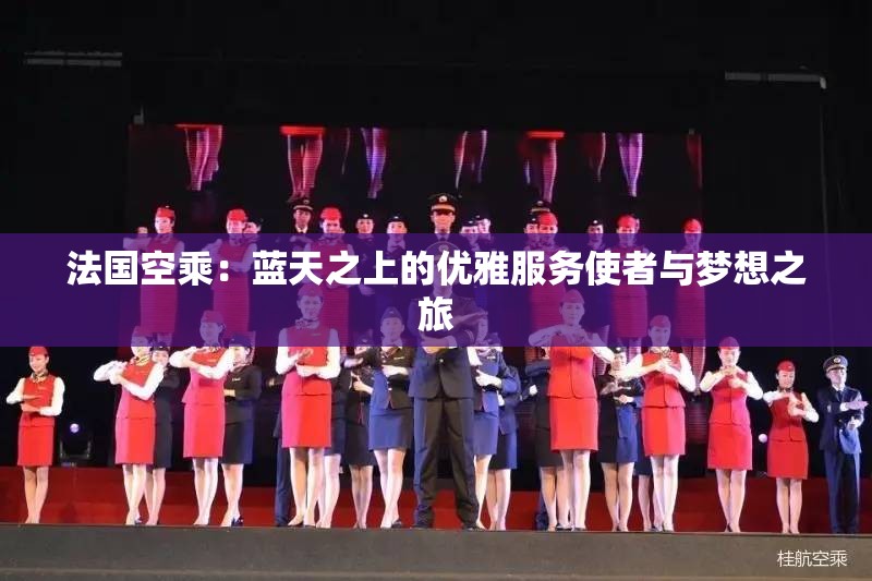 法国空乘：蓝天之上的优雅服务使者与梦想之旅