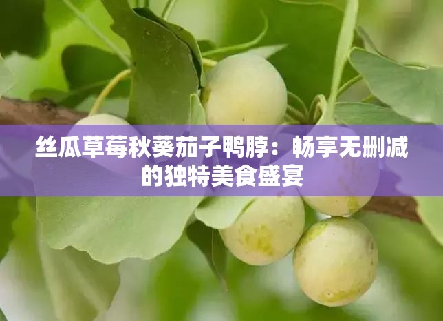丝瓜草莓秋葵茄子鸭脖：畅享无删减的独特美食盛宴