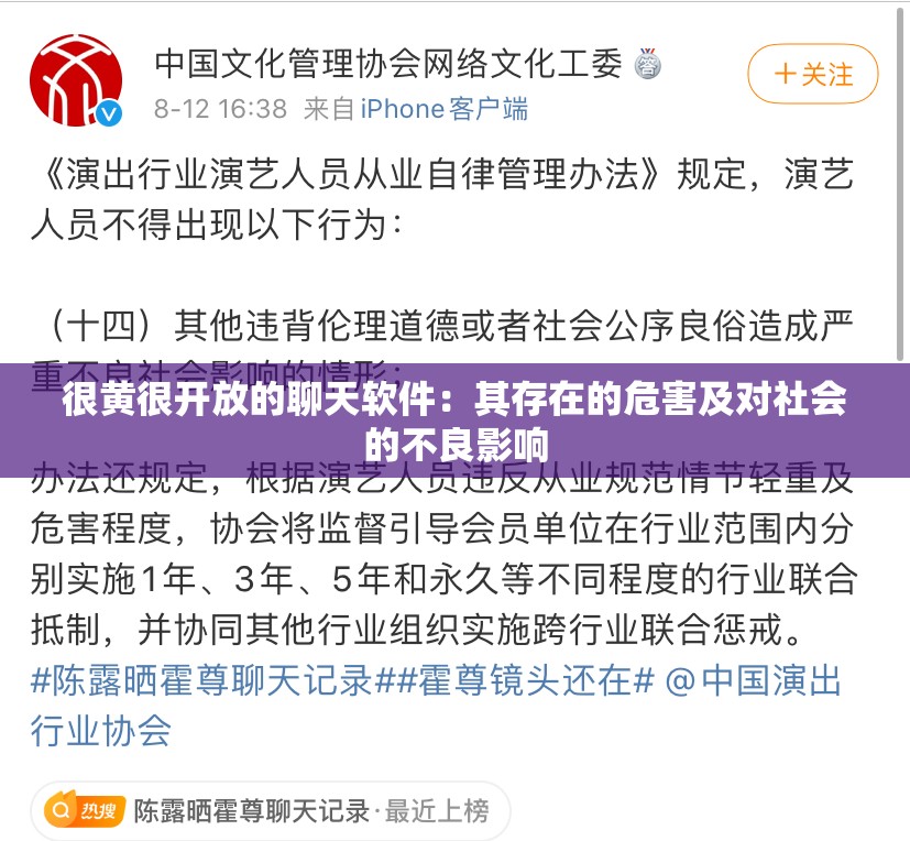 很黄很开放的聊天软件：其存在的危害及对社会的不良影响
