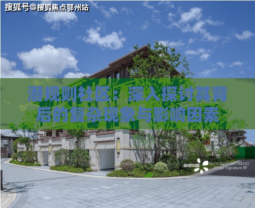 潜规则社区：深入探讨其背后的复杂现象与影响因素