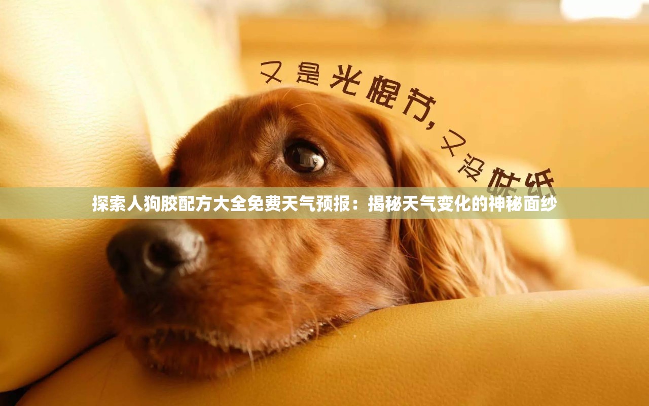 探索人狗胶配方大全免费天气预报：揭秘天气变化的神秘面纱
