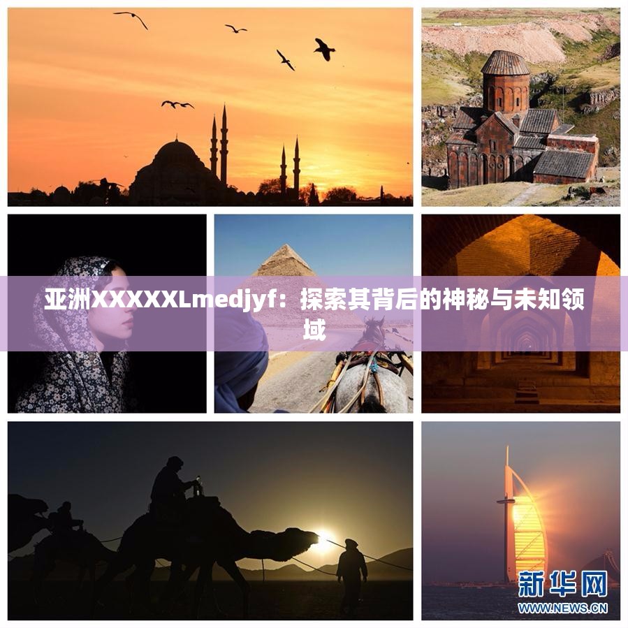 亚洲XXXXXLmedjyf：探索其背后的神秘与未知领域