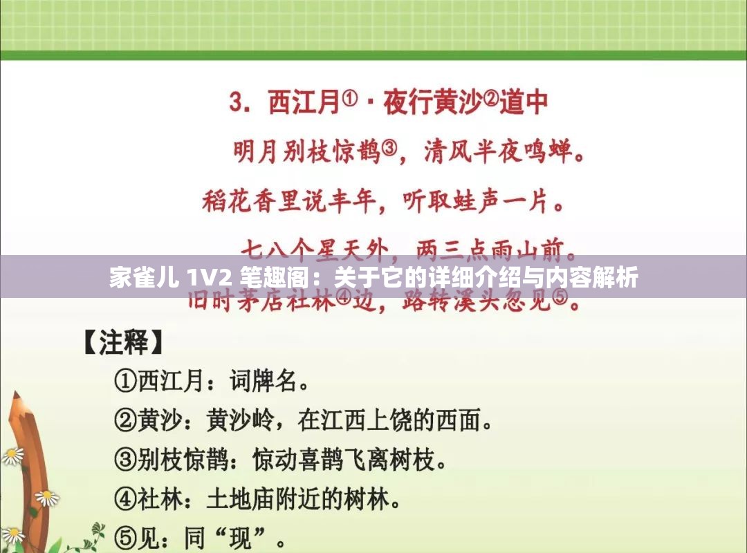 家雀儿 1V2 笔趣阁：关于它的详细介绍与内容解析