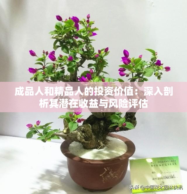 成品人和精品人的投资价值：深入剖析其潜在收益与风险评估