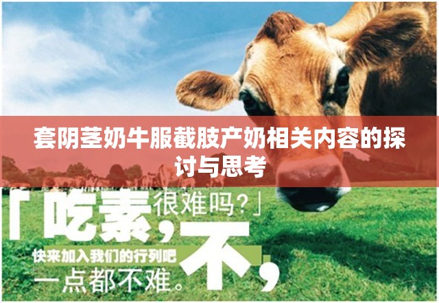 套阴茎奶牛服截肢产奶相关内容的探讨与思考