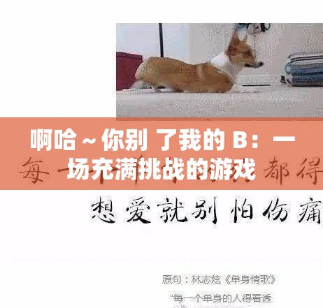 啊哈～你别 了我的 B：一场充满挑战的游戏