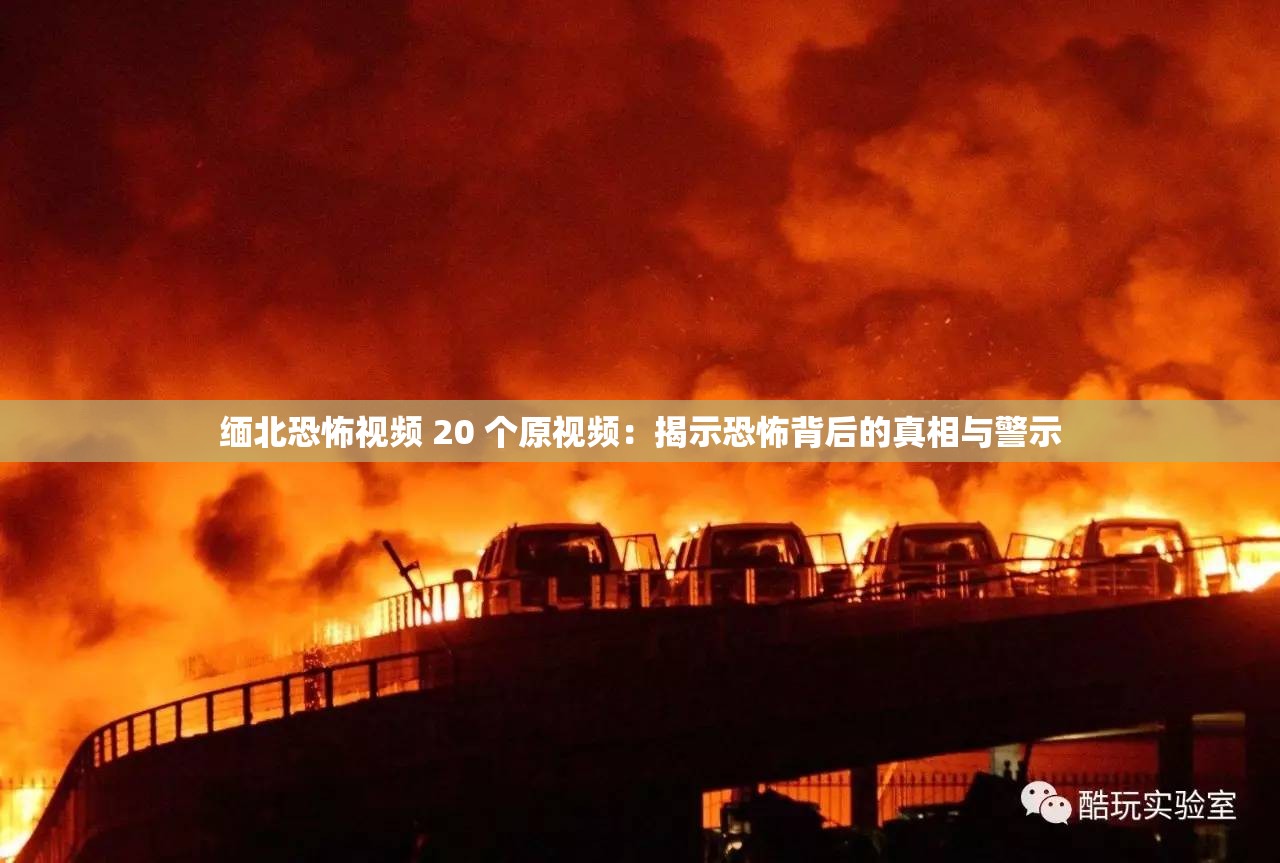 缅北恐怖视频 20 个原视频：揭示恐怖背后的真相与警示