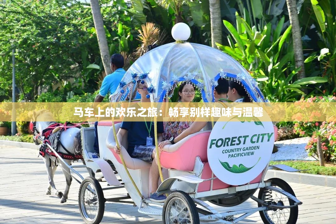 马车上的欢乐之旅：畅享别样趣味与温馨