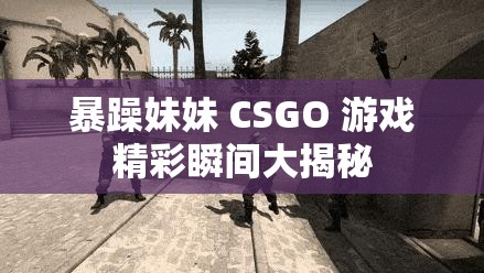 暴躁妹妹 CSGO 游戏精彩瞬间大揭秘