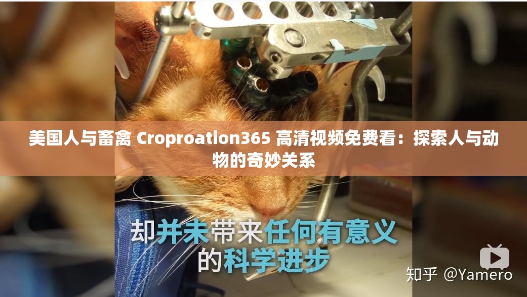 美国人与畜禽 Croproation365 高清视频免费看：探索人与动物的奇妙关系