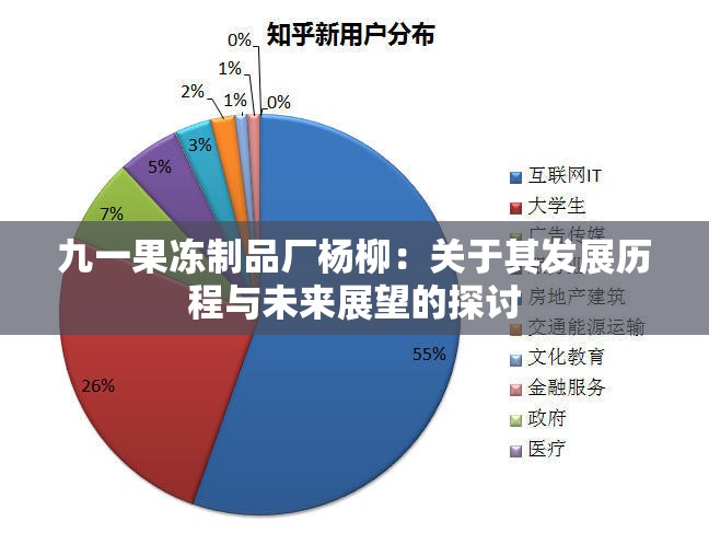 九一果冻制品厂杨柳：关于其发展历程与未来展望的探讨