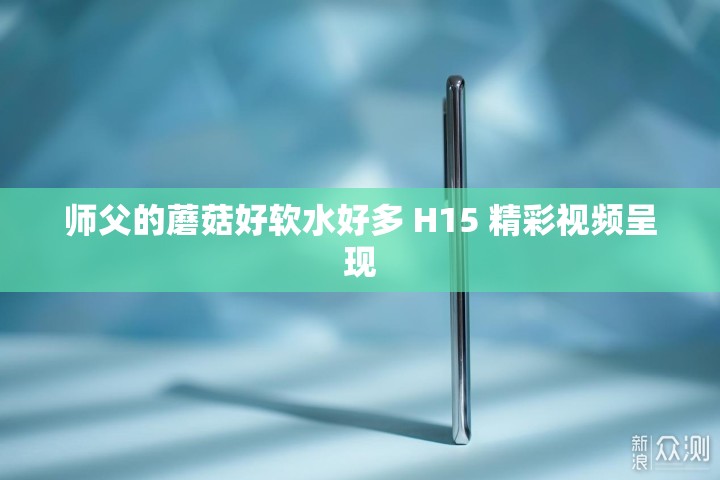 师父的蘑菇好软水好多 H15 精彩视频呈现