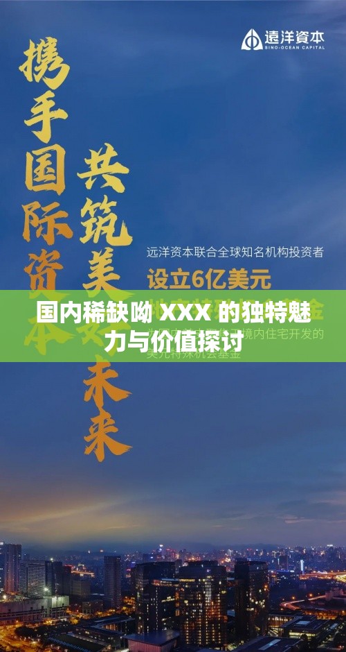 国内稀缺呦 XXX 的独特魅力与价值探讨