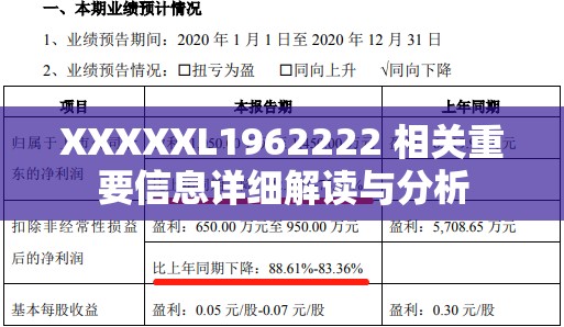 XXXXXL1962222 相关重要信息详细解读与分析