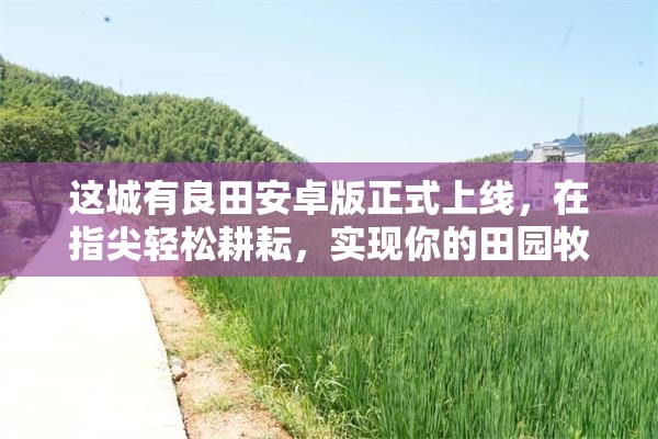 这城有良田安卓版正式上线，在指尖轻松耕耘，实现你的田园牧歌梦想