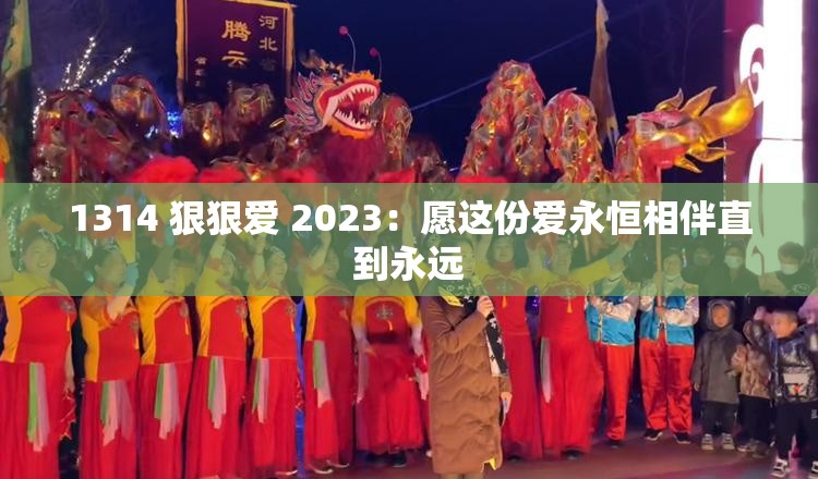 1314 狠狠爱 2023：愿这份爱永恒相伴直到永远