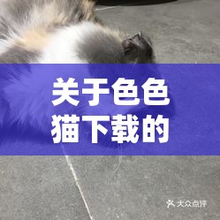 关于色色猫下载的相关内容及详细介绍