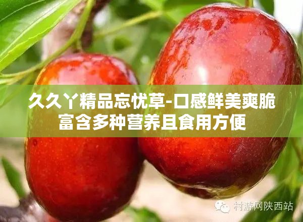 久久丫精品忘忧草-口感鲜美爽脆富含多种营养且食用方便