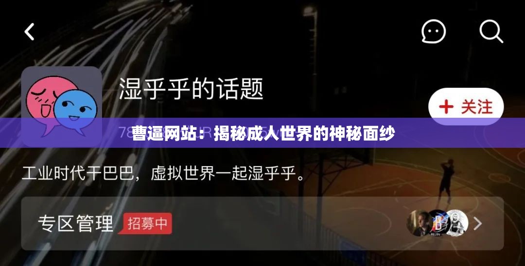 曹逼网站：揭秘成人世界的神秘面纱