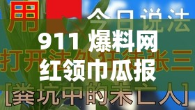 911 爆料网红领巾瓜报入口：探寻背后真相与影响