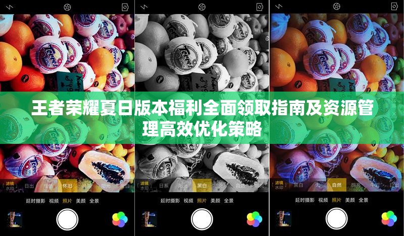 王者荣耀夏日版本福利全面领取指南及资源管理高效优化策略
