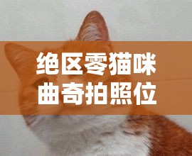 绝区零猫咪曲奇拍照位置全面指南，助你解锁游戏隐藏乐趣与惊喜！