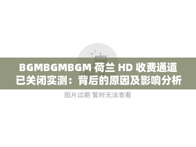 BGMBGMBGM 荷兰 HD 收费通道已关闭实测：背后的原因及影响分析