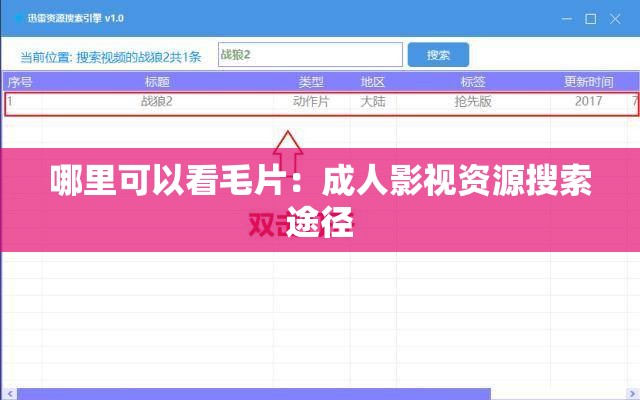 哪里可以看毛片：成人影视资源搜索途径