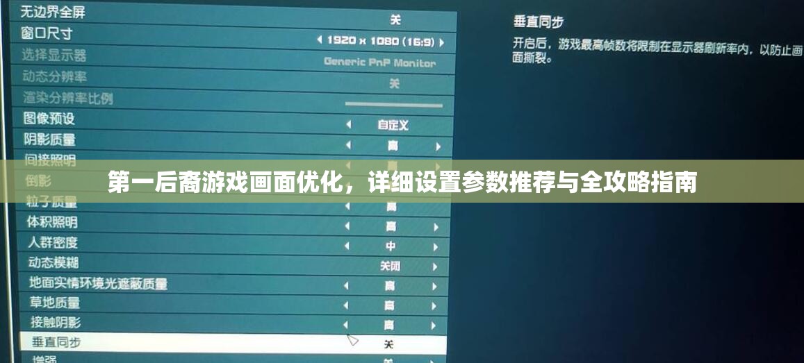 第一后裔游戏画面优化，详细设置参数推荐与全攻略指南