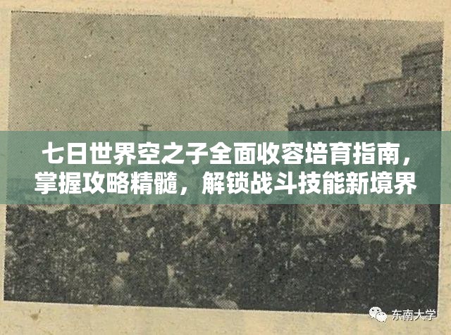 七日世界空之子全面收容培育指南，掌握攻略精髓，解锁战斗技能新境界