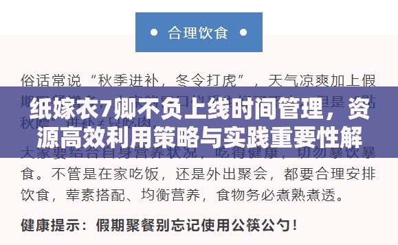 纸嫁衣7卿不负上线时间管理，资源高效利用策略与实践重要性解析