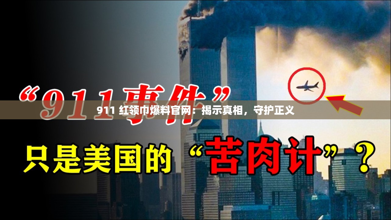 911 红领巾爆料官网：揭示真相，守护正义