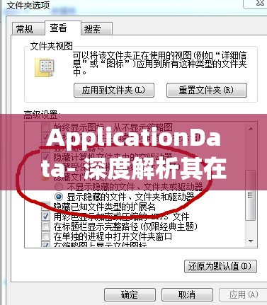 ApplicationData- 深度解析其在现代信息处理中的关键作用