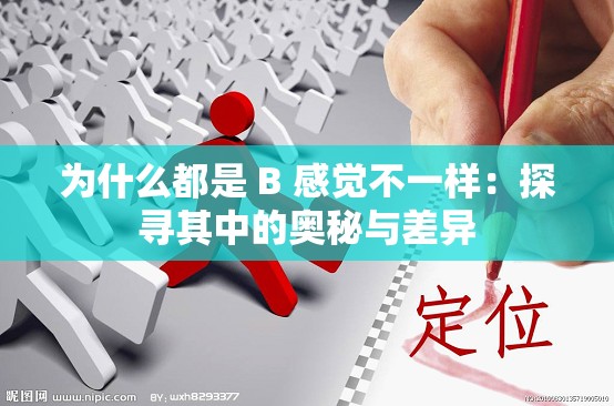 为什么都是 B 感觉不一样：探寻其中的奥秘与差异