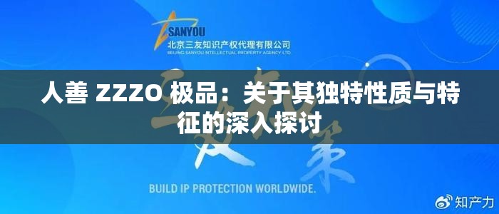 人善 ZZZO 极品：关于其独特性质与特征的深入探讨