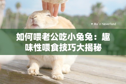 如何喂老公吃小兔兔：趣味性喂食技巧大揭秘