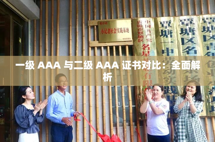 一级 AAA 与二级 AAA 证书对比：全面解析