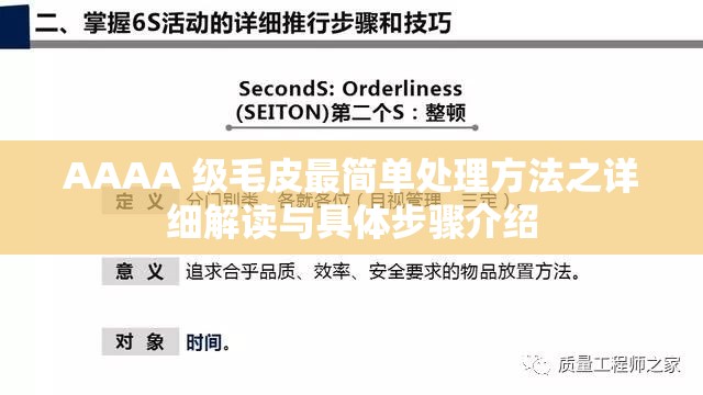 AAAA 级毛皮最简单处理方法之详细解读与具体步骤介绍