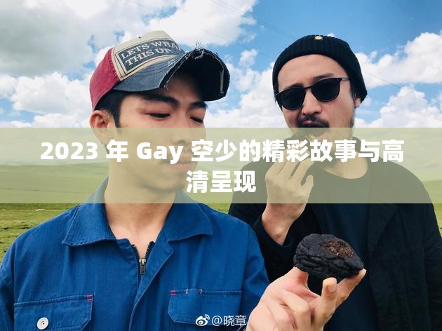 2023 年 Gay 空少的精彩故事与高清呈现