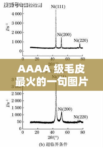 AAAA 级毛皮最火的一句图片还原度清晰：毛皮行业的顶尖品质